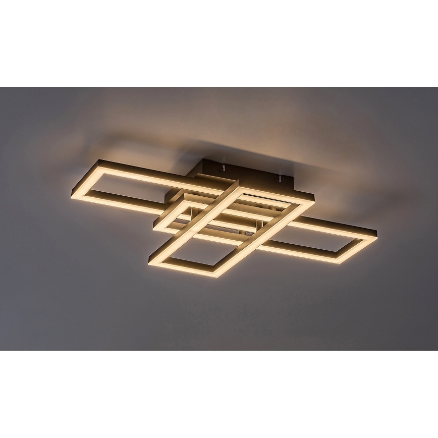 Rabalux - Plafoniera LED dimmerabile LED/40W/230V 3000-6500K + telecomando