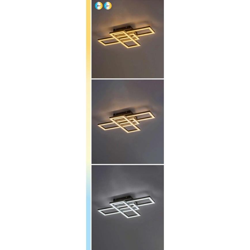 Rabalux - Plafoniera LED dimmerabile LED/40W/230V 3000-6500K + telecomando 35x50 cm