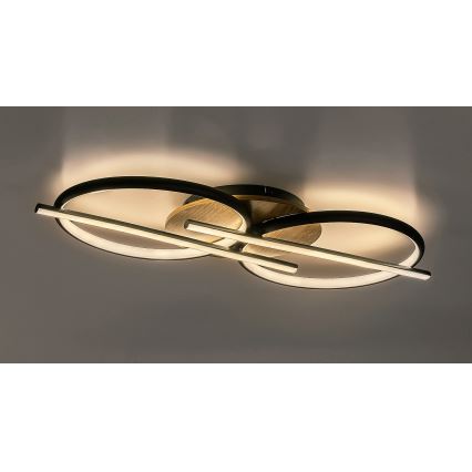 Rabalux - Plafoniera LED LED/40W/230V 3000/4000/6500K