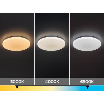 Rabalux - Plafoniera LED dimmerabile LED/12W/230V 3000-6500K Ø 26 cm + telecomando