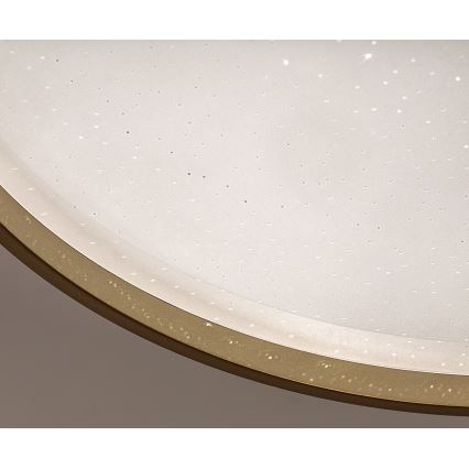 Rabalux - Plafoniera LED dimmerabile LED/34W/230V 3000-6500K Ø 38 cm + telecomando
