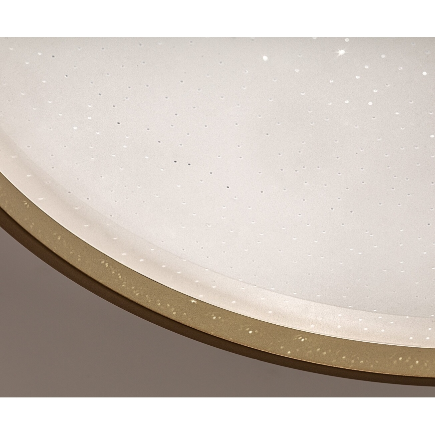 Rabalux - Plafoniera LED dimmerabile LED/34W/230V 3000-6500K Ø 38 cm + telecomando