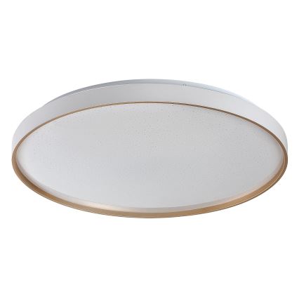 Rabalux - Plafoniera LED dimmerabile LED/60W/230V 3000-6500K Ø 58 cm + telecomando
