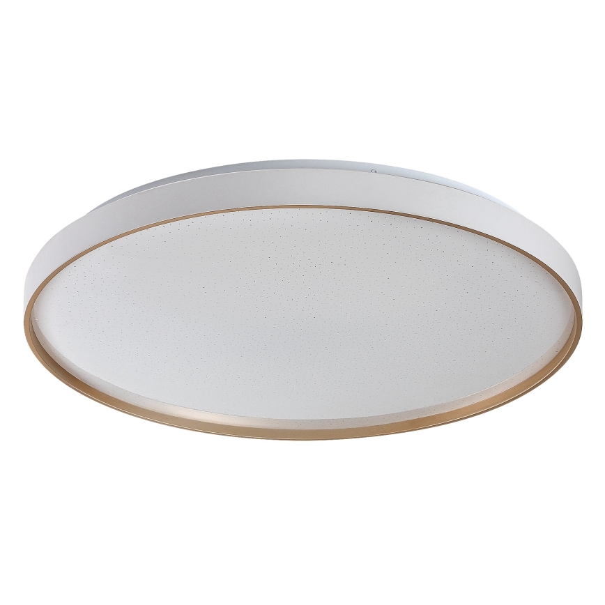 Rabalux - Plafoniera LED dimmerabile LED/60W/230V 3000-6500K Ø 58 cm + telecomando