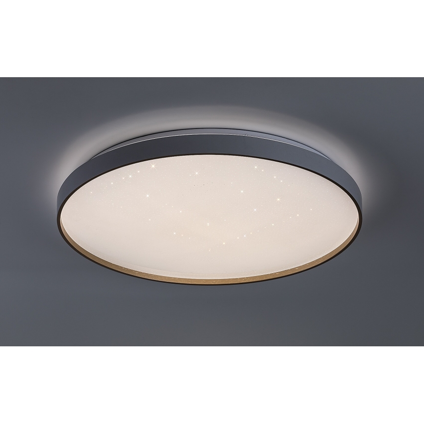 Rabalux - Plafoniera LED dimmerabile LED/80W/230V 3000-6500K Ø 77 cm + telecomando