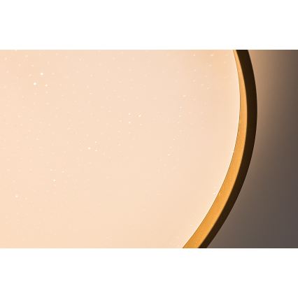 Rabalux - Plafoniera LED dimmerabile LED/80W/230V 3000-6500K Ø 77 cm + telecomando