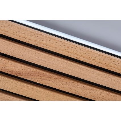 Rabalux - Plafoniera LED/26W/230V 3000/4500/6000K