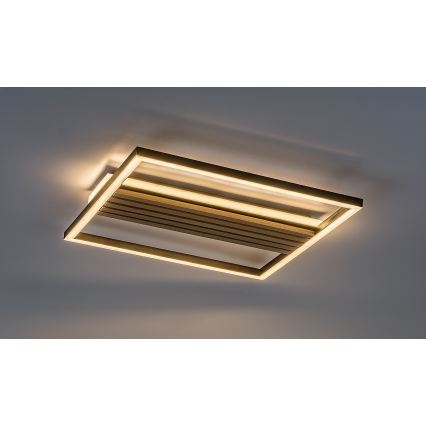 Rabalux - Plafoniera LED/30W/230V 3000/4500/6000K