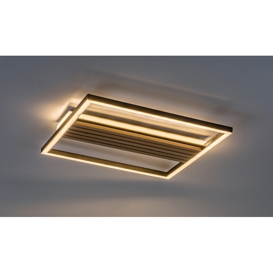 Rabalux - Plafoniera LED/30W/230V 3000/4500/6000K