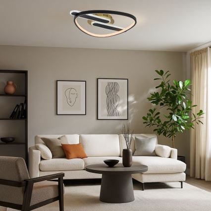 Rabalux - Plafoniera LED dimmerabile LED/60W/230V 3000-6000K 53x45 cm + telecomando