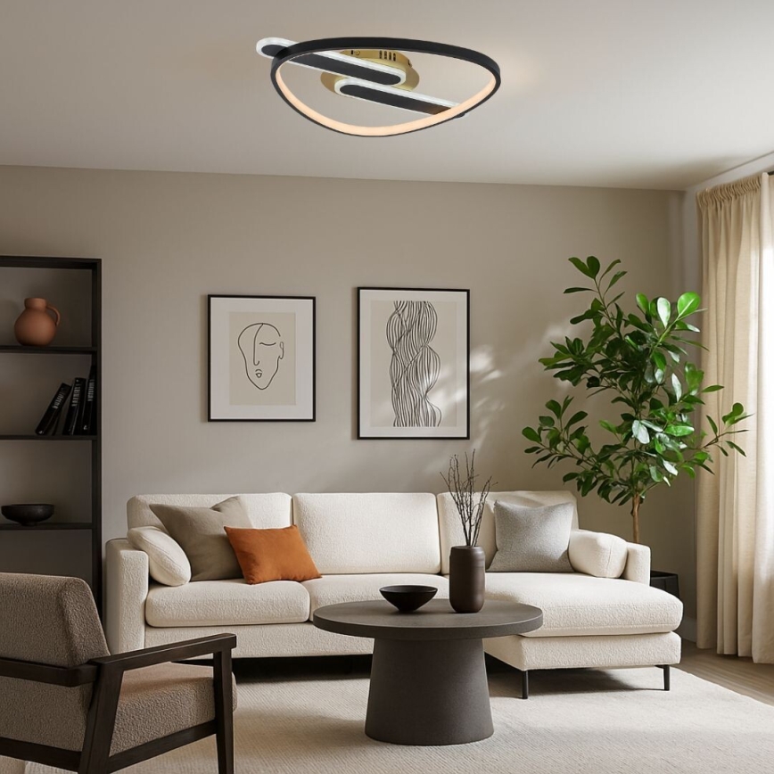 Rabalux - Plafoniera LED dimmerabile LED/60W/230V 3000-6000K 53x45 cm + telecomando