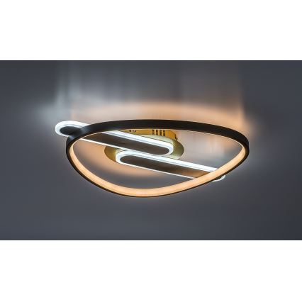 Rabalux - Plafoniera LED dimmerabile LED/60W/230V 3000-6000K 53x45 cm + telecomando