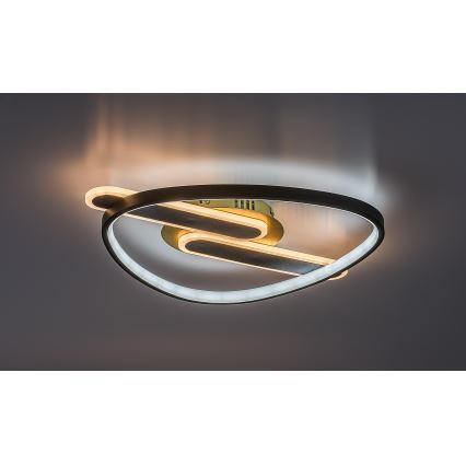 Rabalux - Plafoniera LED dimmerabile LED/60W/230V 3000-6000K 53x45 cm + telecomando