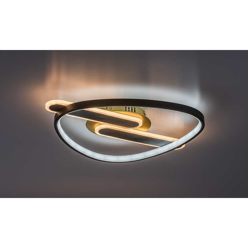 Rabalux - Plafoniera LED dimmerabile LED/60W/230V 3000-6000K 53x45 cm + telecomando