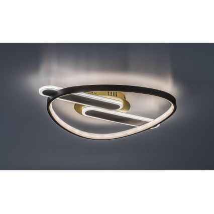 Rabalux - Plafoniera LED dimmerabile LED/60W/230V 3000-6000K 53x45 cm + telecomando
