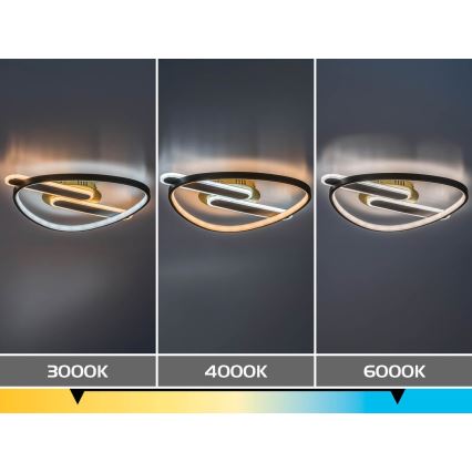 Rabalux - Plafoniera LED dimmerabile LED/60W/230V 3000-6000K 53x45 cm + telecomando