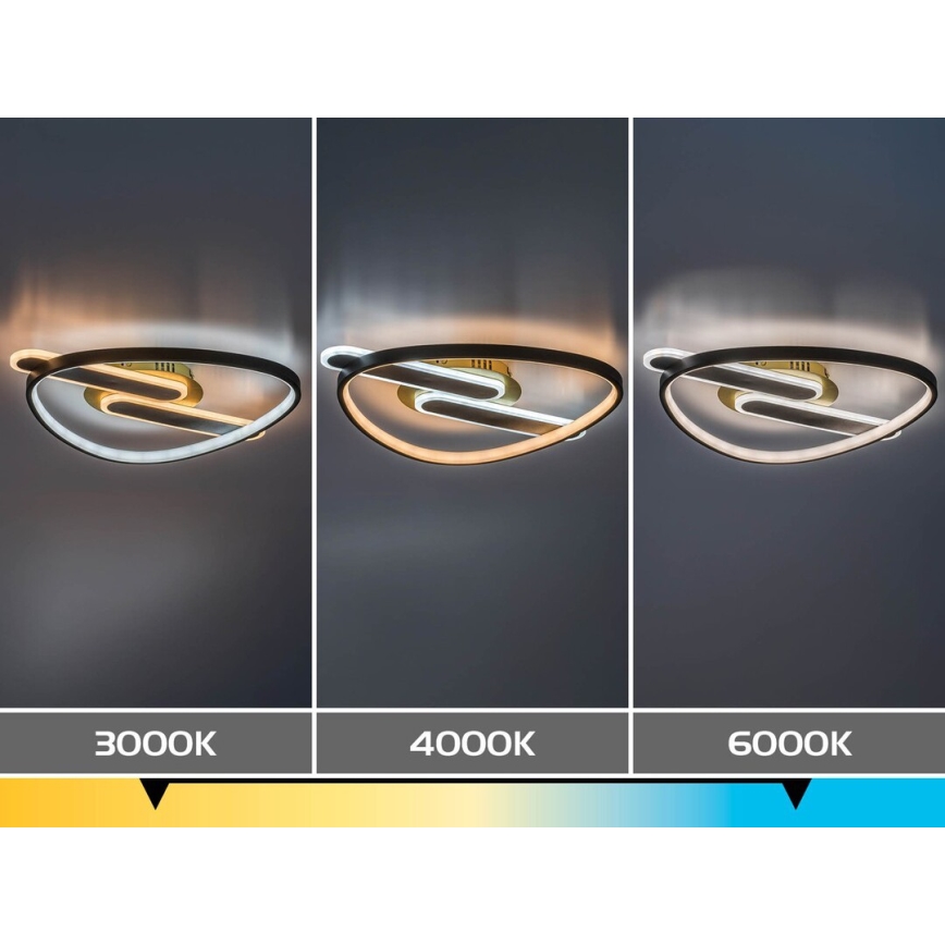Rabalux - Plafoniera LED dimmerabile LED/60W/230V 3000-6000K 53x45 cm + telecomando