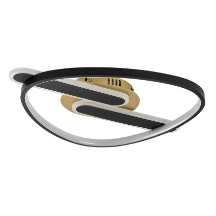 Rabalux - Plafoniera LED dimmerabile LED/60W/230V 3000-6000K 53x45 cm + telecomando