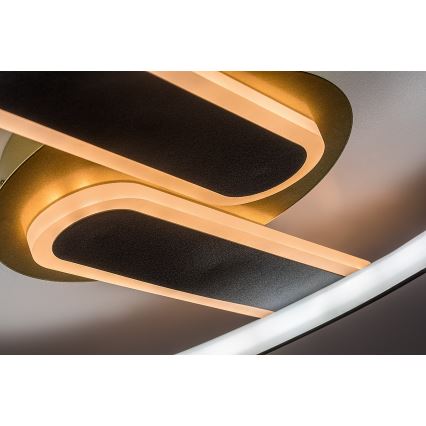Rabalux - Plafoniera LED dimmerabile LED/60W/230V 3000-6000K 53x45 cm + telecomando