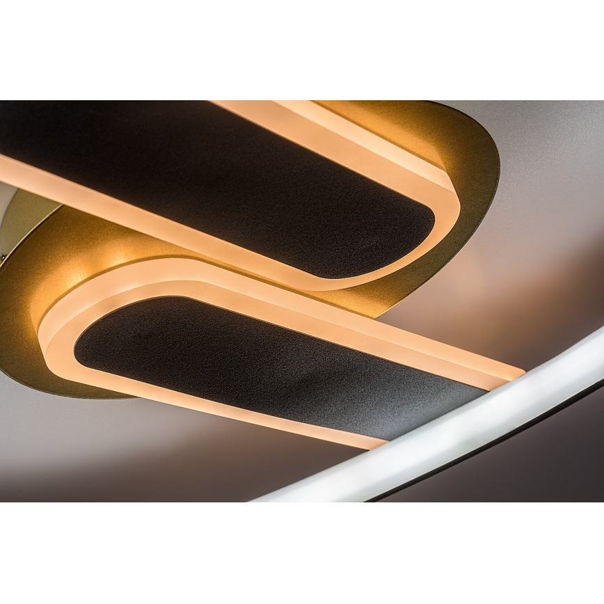 Rabalux - Plafoniera LED dimmerabile LED/60W/230V 3000-6000K 53x45 cm + telecomando