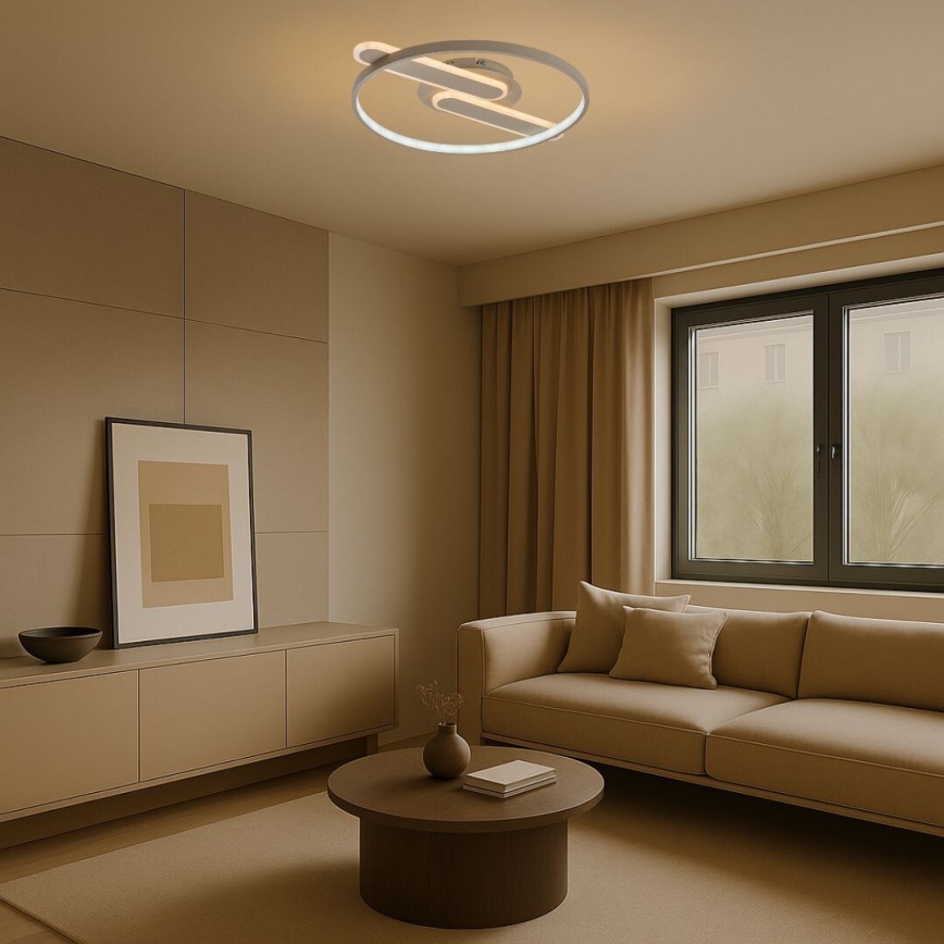 Rabalux - Plafoniera LED dimmerabile LED/55W/230V 3000-6000K 53x45 cm + telecomando