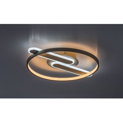 Rabalux - Plafoniera LED dimmerabile LED/55W/230V 3000-6000K 53x45 cm + telecomando