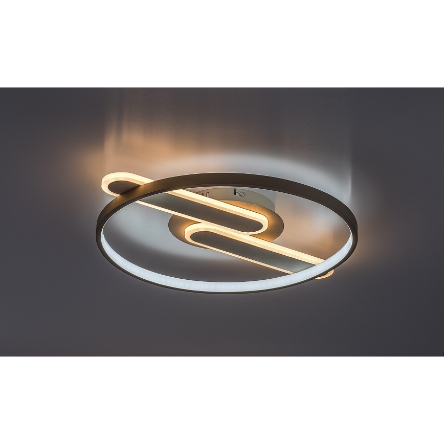 Rabalux - Plafoniera LED dimmerabile LED/55W/230V 3000-6000K 53x45 cm + telecomando