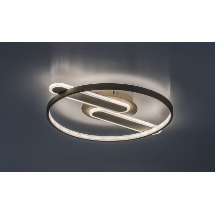 Rabalux - Plafoniera LED dimmerabile LED/55W/230V 3000-6000K 53x45 cm + telecomando