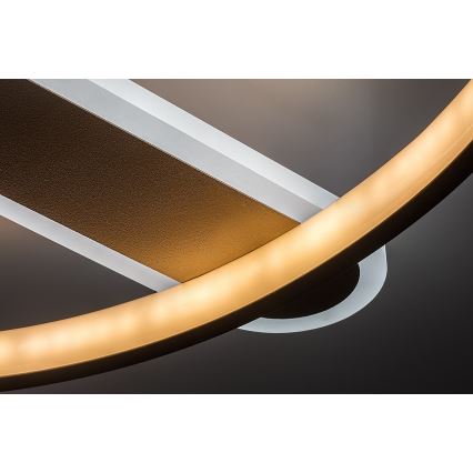 Rabalux - Plafoniera LED dimmerabile LED/55W/230V 3000-6000K 53x45 cm + telecomando