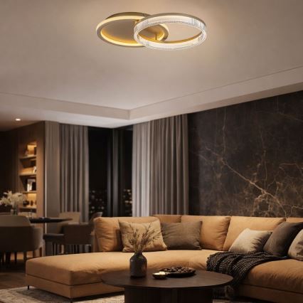 Rabalux - Plafoniera LED dimmerabile LED/22W/230V 3000-6500K 53,5x35 cm + telecomando