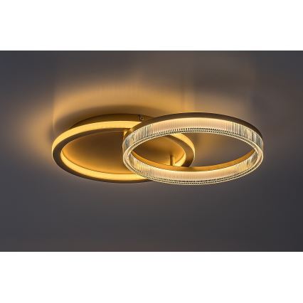 Rabalux - Plafoniera LED dimmerabile LED/22W/230V 3000-6500K 53,5x35 cm + telecomando
