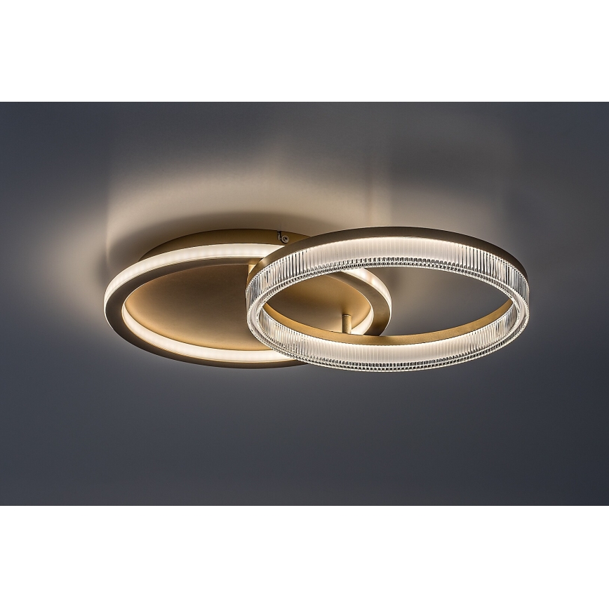 Rabalux - Plafoniera LED dimmerabile LED/22W/230V 3000-6500K 53,5x35 cm + telecomando
