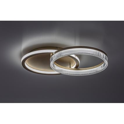 Rabalux - Plafoniera LED dimmerabile LED/22W/230V 3000-6500K 53,5x35 cm + telecomando