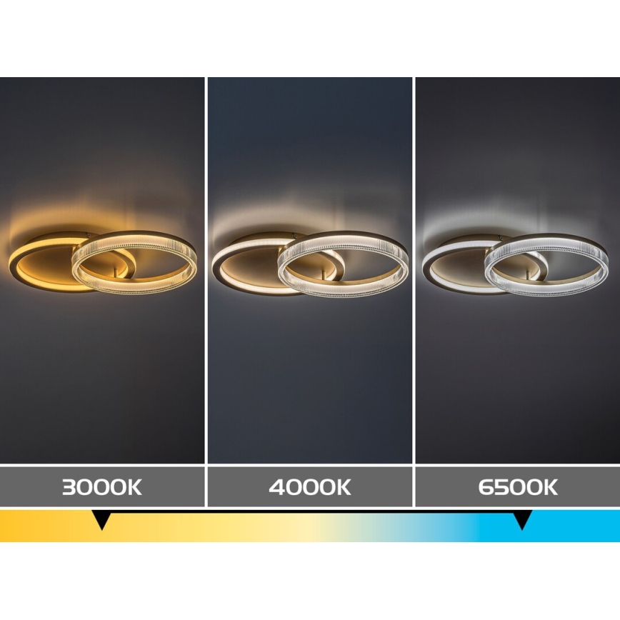 Rabalux - Plafoniera LED dimmerabile LED/22W/230V 3000-6500K 53,5x35 cm + telecomando