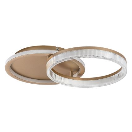 Rabalux - Plafoniera LED dimmerabile LED/22W/230V 3000-6500K 53,5x35 cm + telecomando
