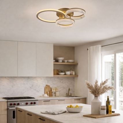 Rabalux - LED Plafoniera dimmerabile LED/38W/230V 3000-6500K 58,5x38 cm + telecomando
