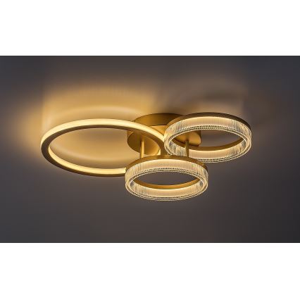 Rabalux - LED Plafoniera dimmerabile LED/38W/230V 3000-6500K 58,5x38 cm + telecomando