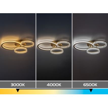 Rabalux - LED Plafoniera dimmerabile LED/38W/230V 3000-6500K 58,5x38 cm + telecomando