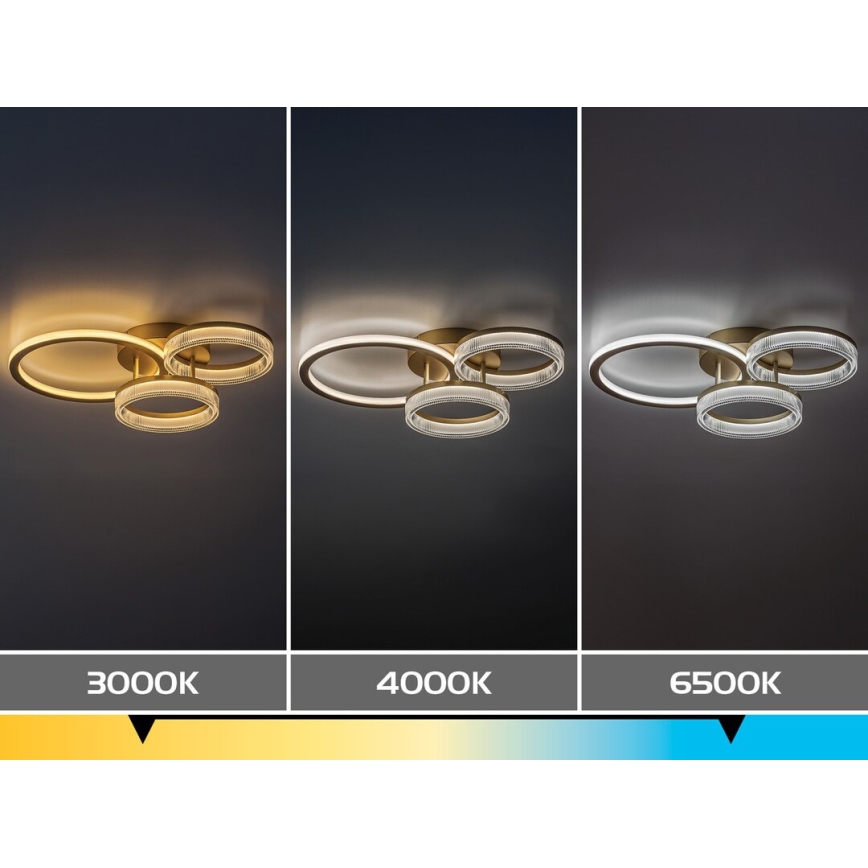 Rabalux - LED Plafoniera dimmerabile LED/38W/230V 3000-6500K 58,5x38 cm + telecomando