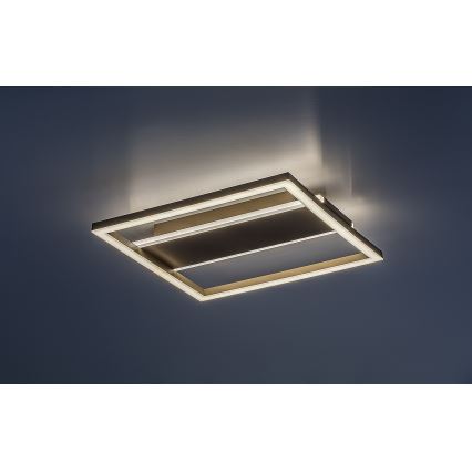 Rabalux - Plafoniera LED/24W/230V 33x33 cm