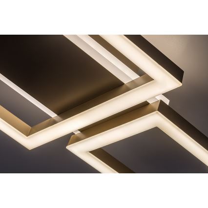 Rabalux - Plafoniera LED LED/24W/230V 51,5x22 cm