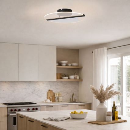 Rabalux - Plafoniera LED 20W/230V/3000K Ø 41 cm nero/trasparente