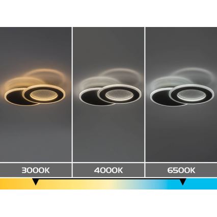 Rabalux - Plafoniera LED dimmerabile LED/24W/230V 3000-6500K 35x23 cm + telecomando