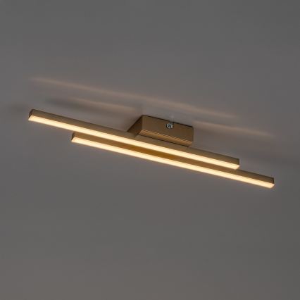 Rabalux - Plafoniera LED/12W/230V 3000K dorata