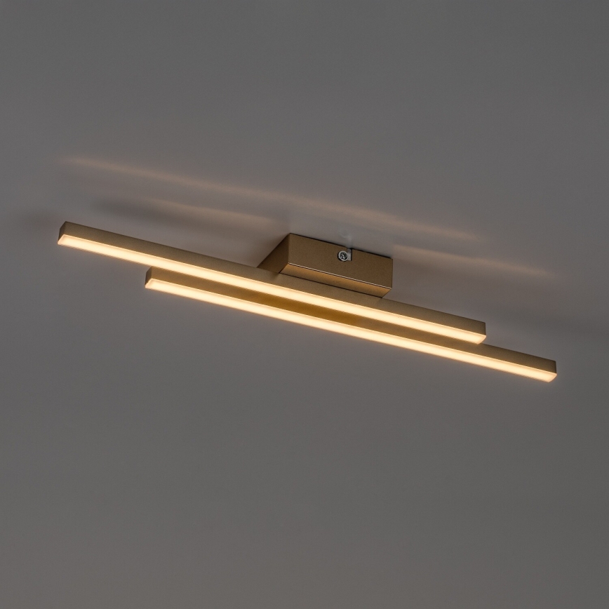 Rabalux - Plafoniera LED/12W/230V 3000K dorata