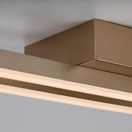 Rabalux - Plafoniera LED/12W/230V 3000K dorata