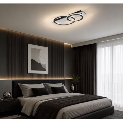 Rabalux - Plafoniera LED dimmerabile LED/24W/230V 3000-6500K + telecomando