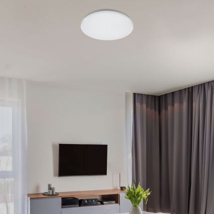 Rabalux - Plafoniera LED/12W/230V 4000K Ø 25,5 cm