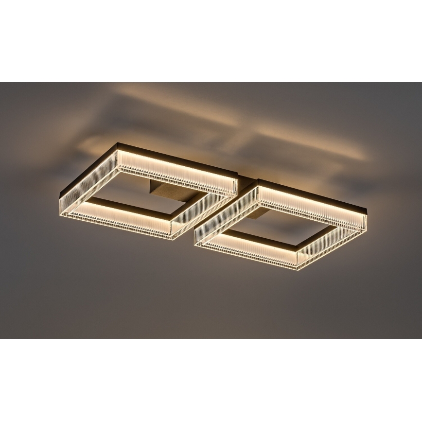 Rabalux - Plafoniera LED dimmerabile LED/24W/230V 3000-6500K + telecomando