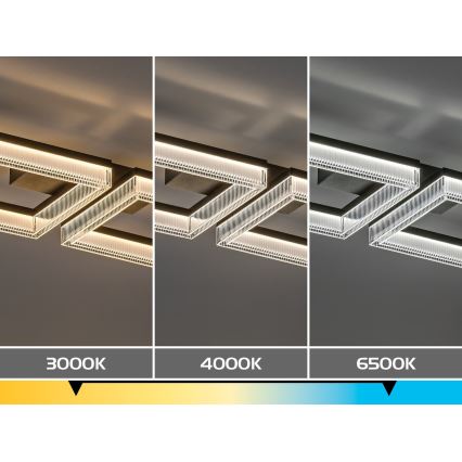 Rabalux - Plafoniera LED dimmerabile LED/24W/230V 3000-6500K + telecomando